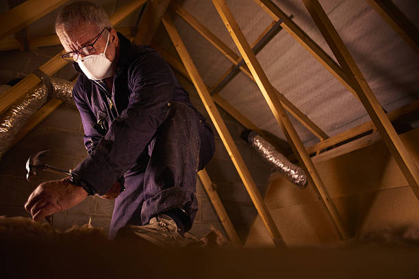 Best Eco-Friendly Insulation in Fairview Ferndale, PA